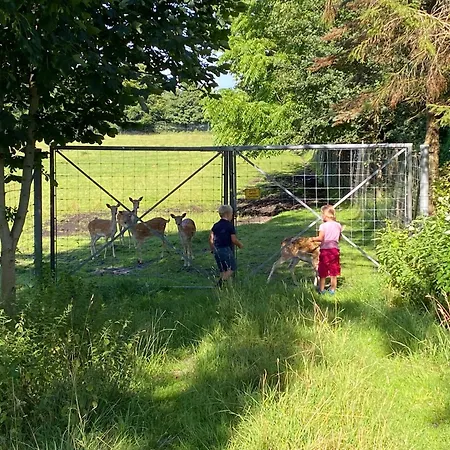 Feriegård Meedehof Moorhausen, Wh Pferdestall
