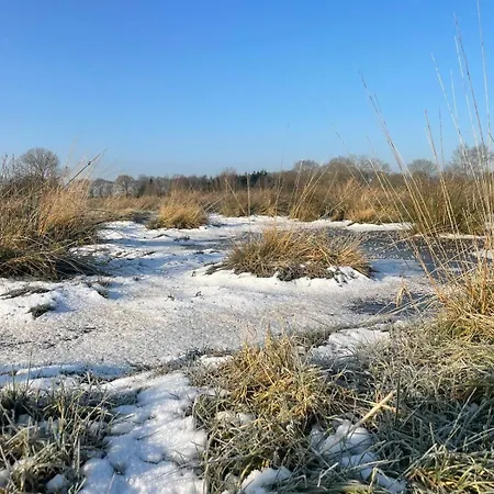 Feriegård Meedehof Moorhausen, Wh Pferdestall