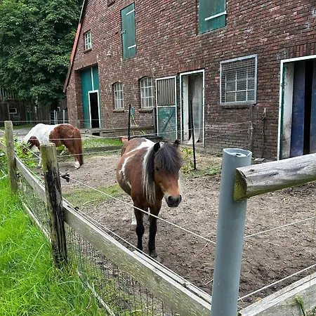 Meedehof Moorhausen, Wh Pferdestall Bauernhof Varel