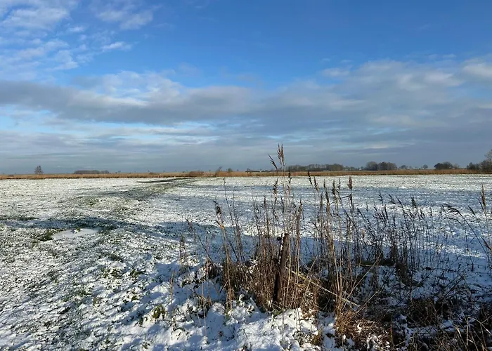 Meedehof Moorhausen, Wh Pferdestall Фермерский дом Фарель