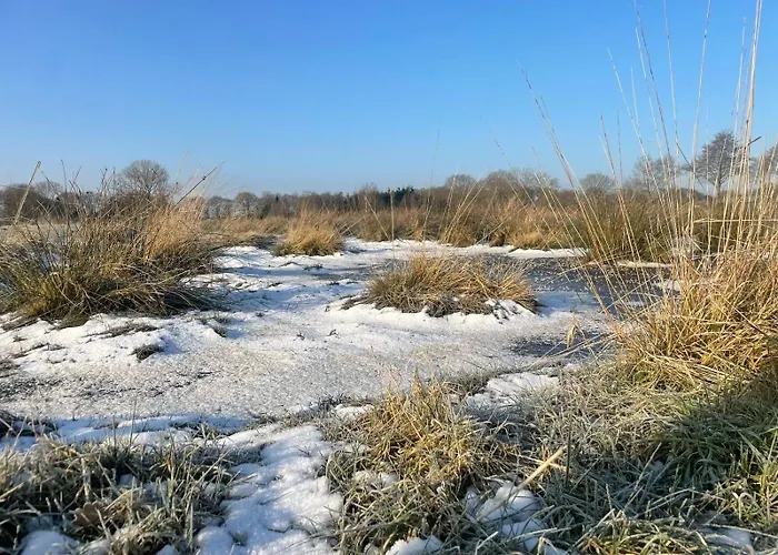 Фермерский дом Meedehof Moorhausen, Wh Pferdestall