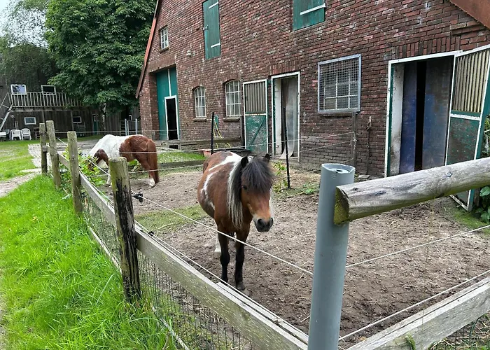 Meedehof Moorhausen, Wh Pferdestall Фермерский дом Фарель